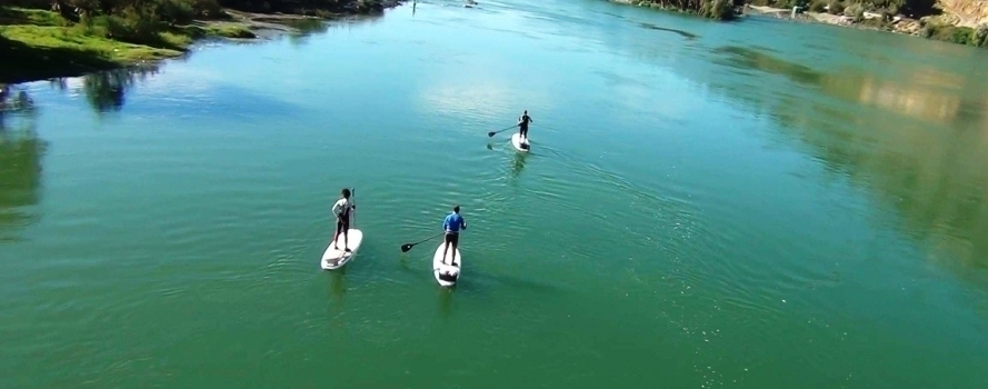 סאפ באלבניה