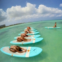 0a334e29a2a4c775e3a8ff788ea2258e