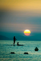 1899c66209355c8d37fd50d15b1a3b36