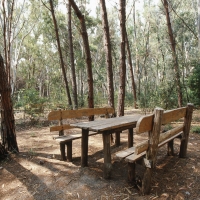 שולחן פיקניק בחורשה באזור נפיטה באיטליה