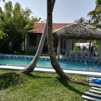 back yard   chilling area