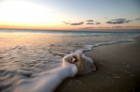 http   ns clubmed com ipm 2015 TURC Fiche Village multimedia photo 180 TURC C105 016